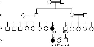 Whole-Exome Sequencing Identifies Novel SCN1A and CACNB4 Genes Mutations in the Cohort of Saudi Patients With Epilepsy